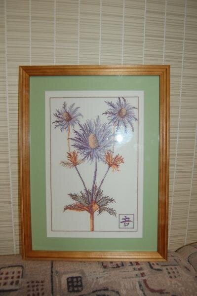 Чертополох1