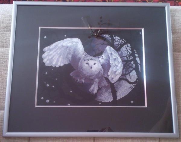 Белая сова
Panna