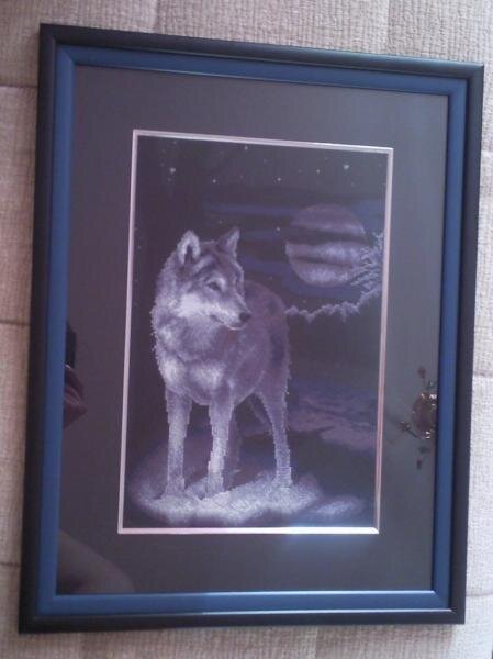 Белый волк
Panna