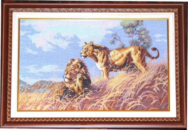 Африканские львы