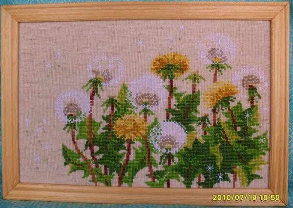 одуванчики