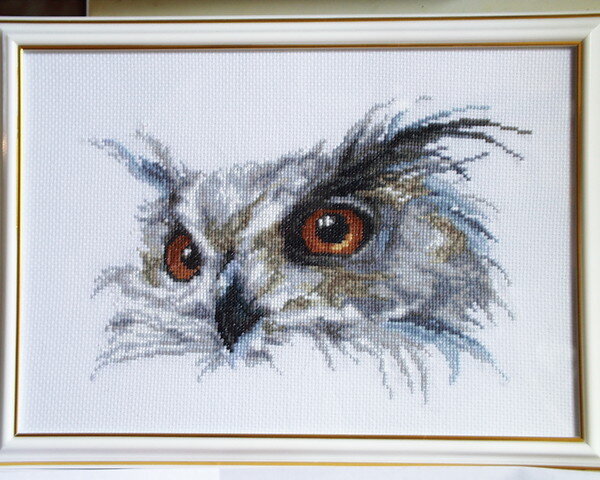 Незнаю сова это или филин,ну очень он мне нравиться!!!