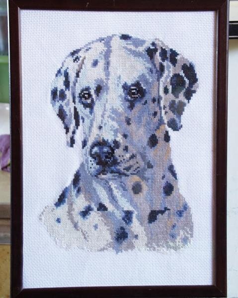 Люблю вышивать собак!