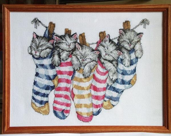 Котятки в носках,дочка в полном восторге!!