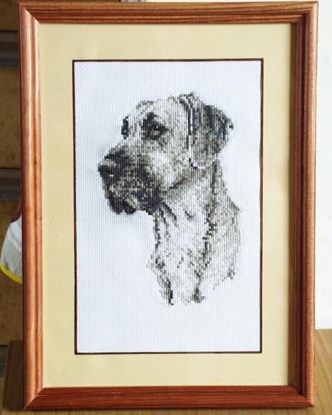 Незнаю какая это порода,наверно Дог.