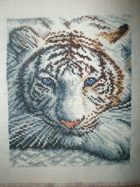 тигр (пока не офорилен).Моя вторая работа.