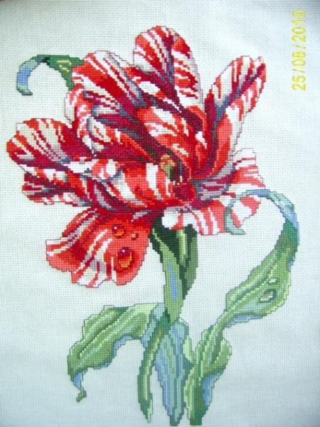 Мой_первый_цветок