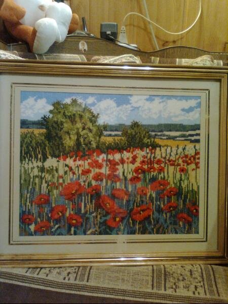 Зображення0127