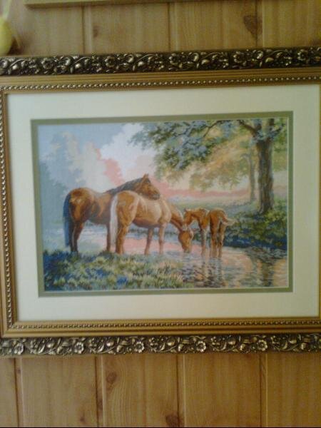 Зображення0159