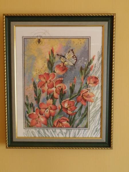 Примулы Ланатре