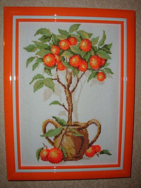 Апельсиновое дерево