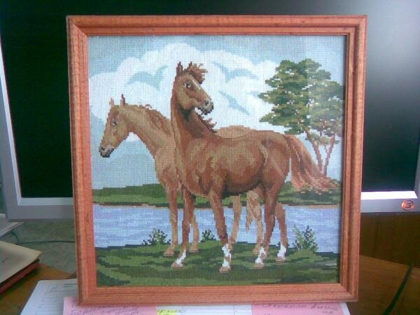 лошадки в оформлении, перед тем как были подарены.