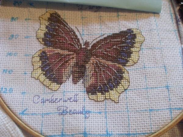 Раунд робин № 1. Бабочка для Таше