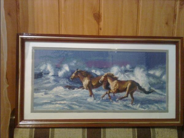 Зображення0177