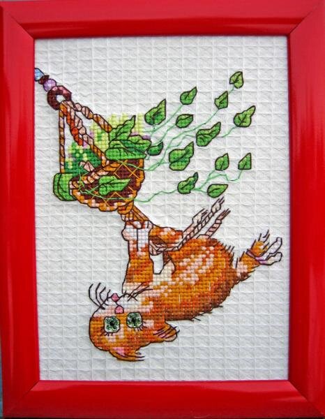 Кот бешеный