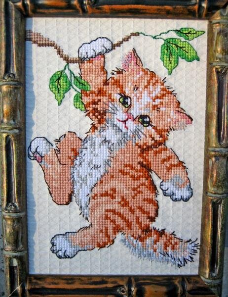 Кот на ветке2