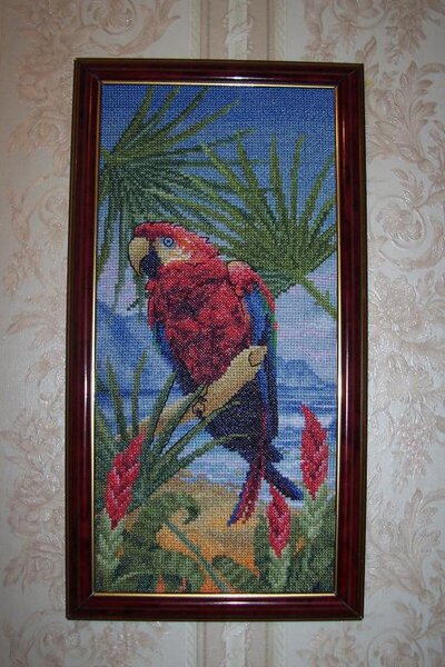 Попугай. Картина вышита в честь говорящего питомца Кешы.