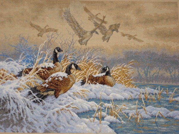 зимний перелет