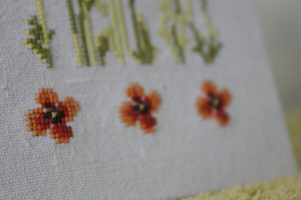 Изображение 018