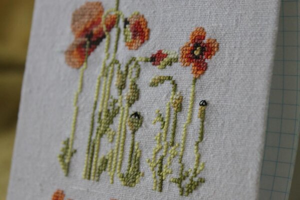 Изображение 020