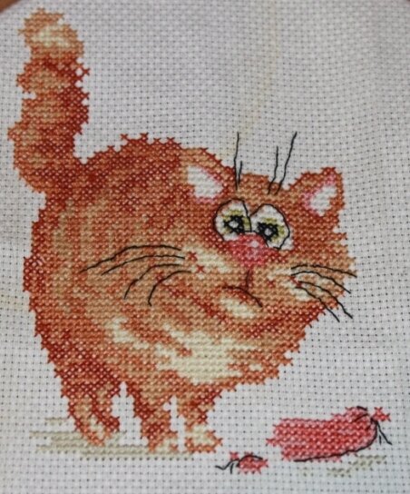 Кот воришка