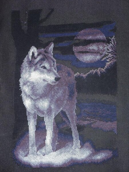 Новые фото 025