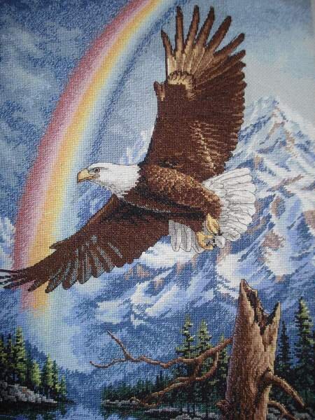 орел и радуга