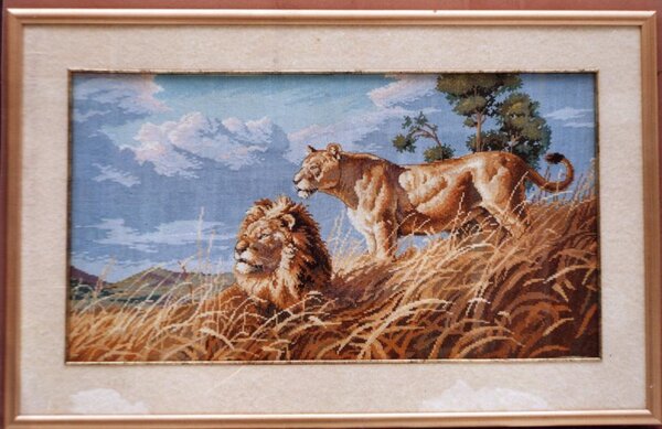 "Африканские львы" от Дименшенс