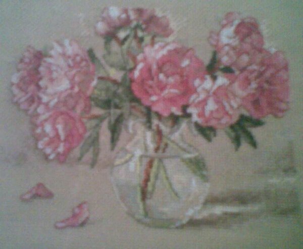 пионы для мамы