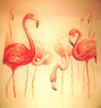 Фламинго