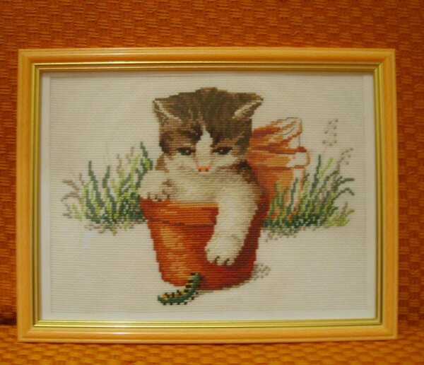 котенок. Одна из моих любимых работ. Что интересно - в ДМС котенок должен  быть серый, а в гамме вышел коричневым.