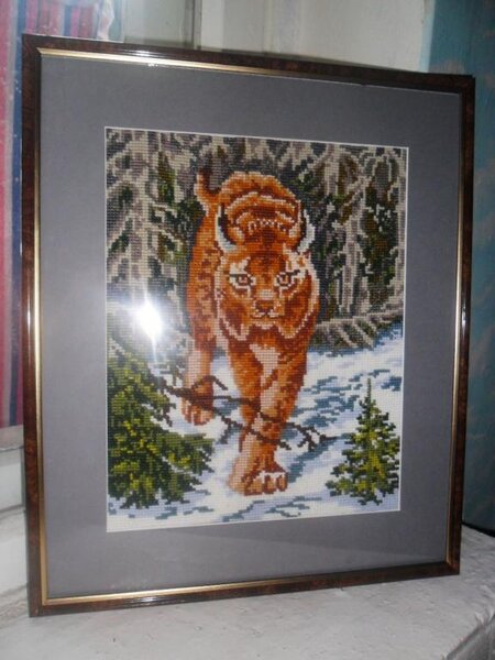 рысь, подарен