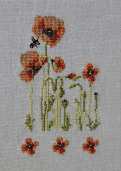 Изображение 013