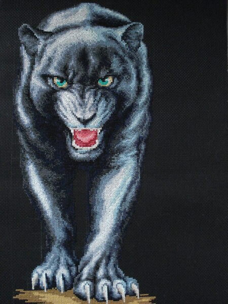 серебристая пантера