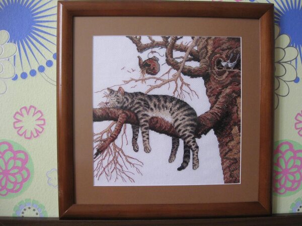 Слишком устал -И у меня появился такой котик