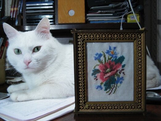 Моя первая вышивка