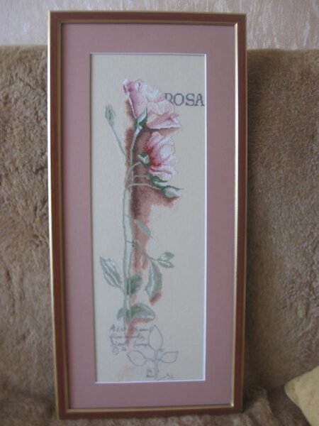 IMG 3121
LANARTE ROSA