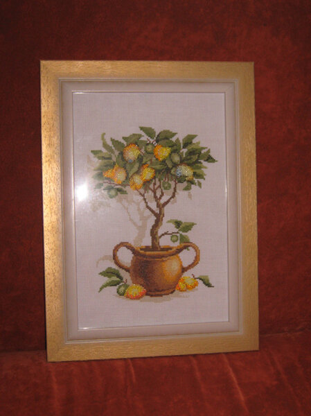 лимонное дерево