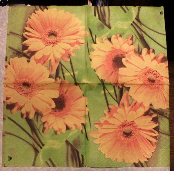 Салфетка №5 (количество 10-12 шт.)