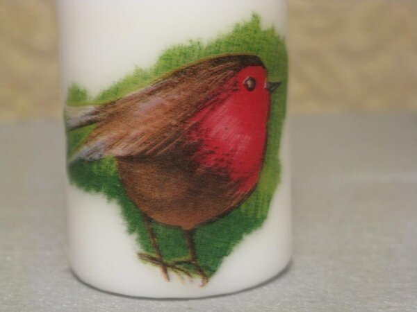 маленькая птичка на маленькой свечке