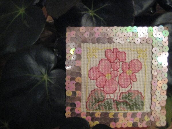 Бегонии,одна из первых моих работ