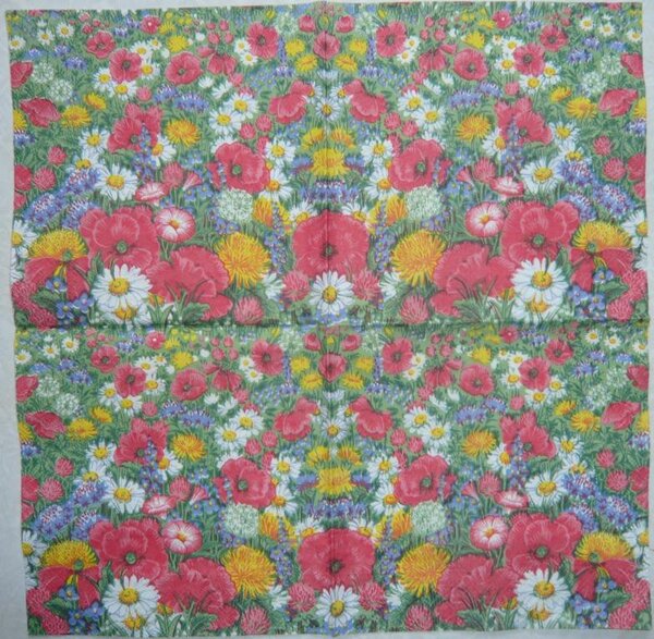 Луговые цветы