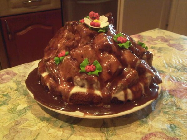 На графских развалинах