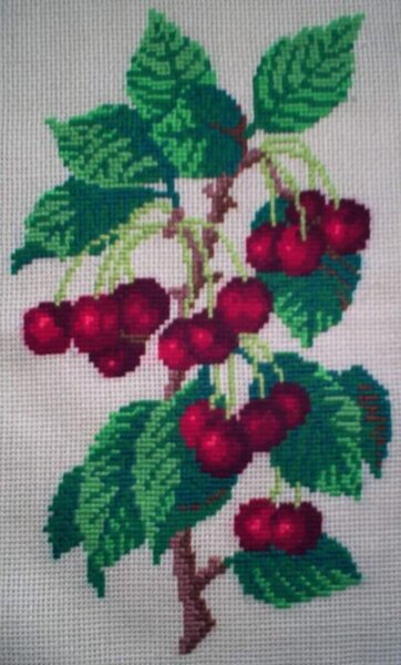 спелая вишня