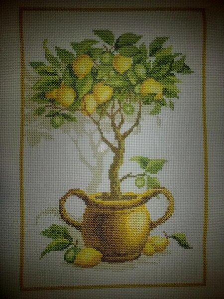 Лимонное дерево