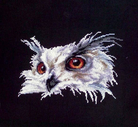 150074  18776237 m750x740