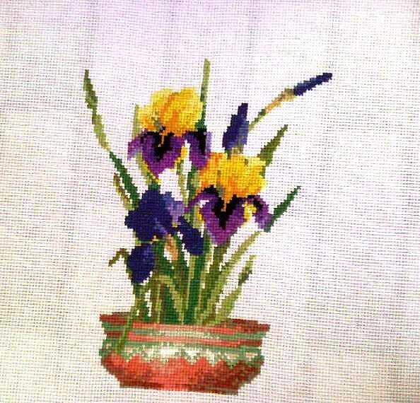 150074  18776245 m750x740