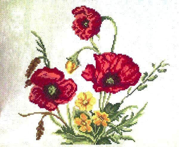 150074  18776246 m750x740