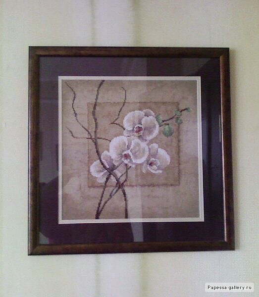 150074  27099725 m750x740 u1540d