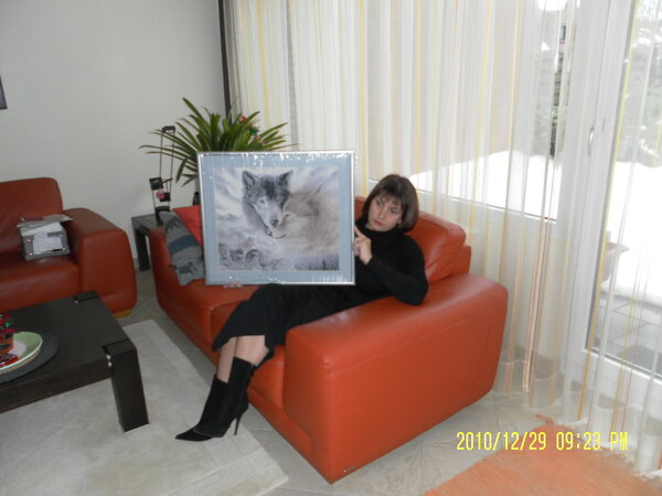 Волки в оформлении. Первая работа.